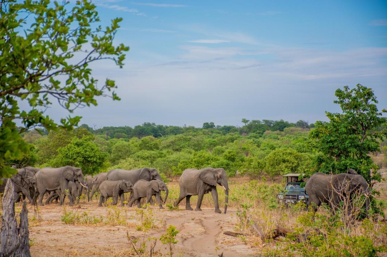 Chobe Safari Lodges Kasane Zewnętrze zdjęcie