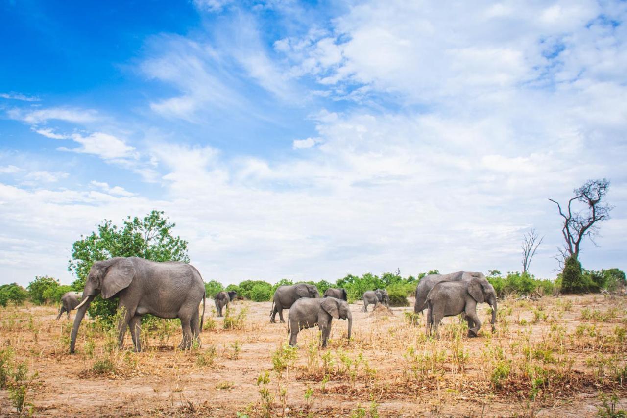 Chobe Safari Lodges Kasane Zewnętrze zdjęcie