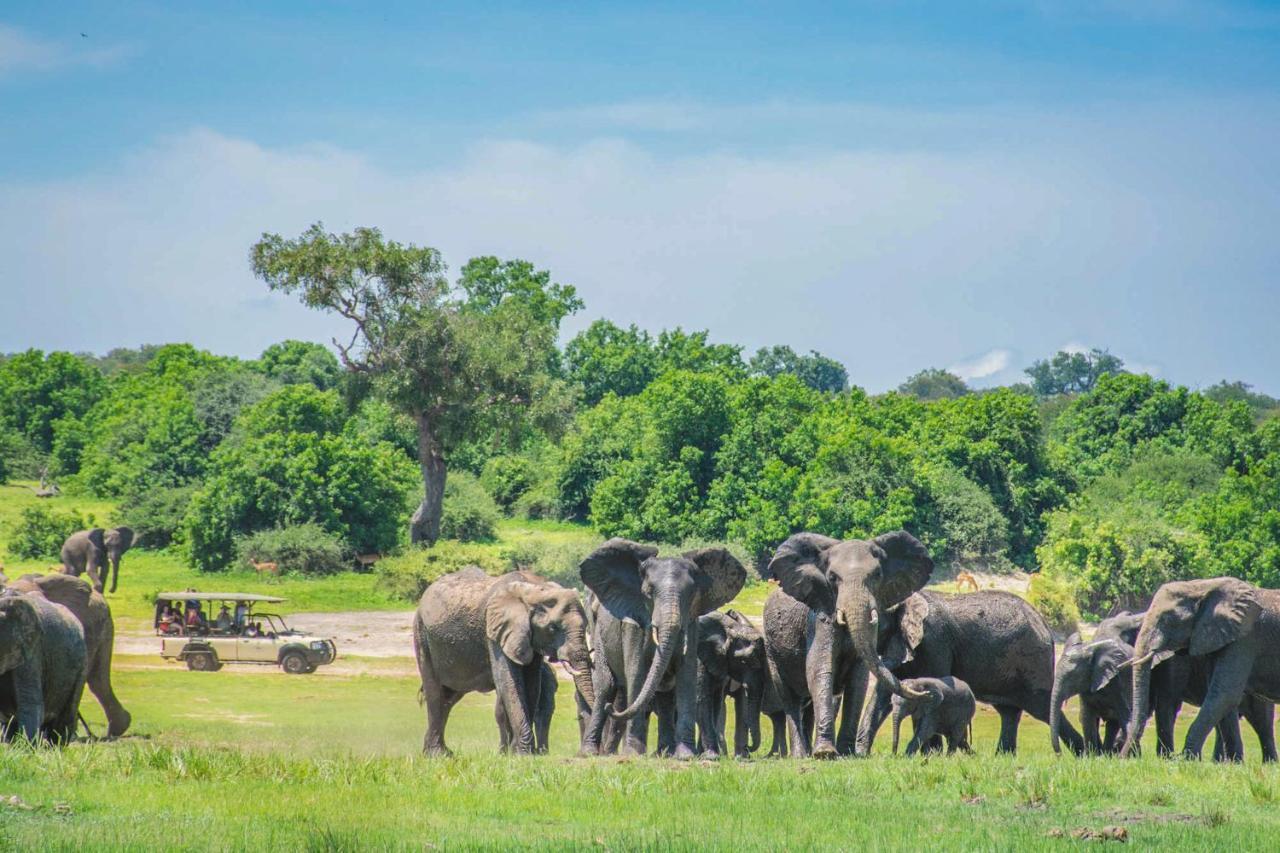 Chobe Safari Lodges Kasane Zewnętrze zdjęcie