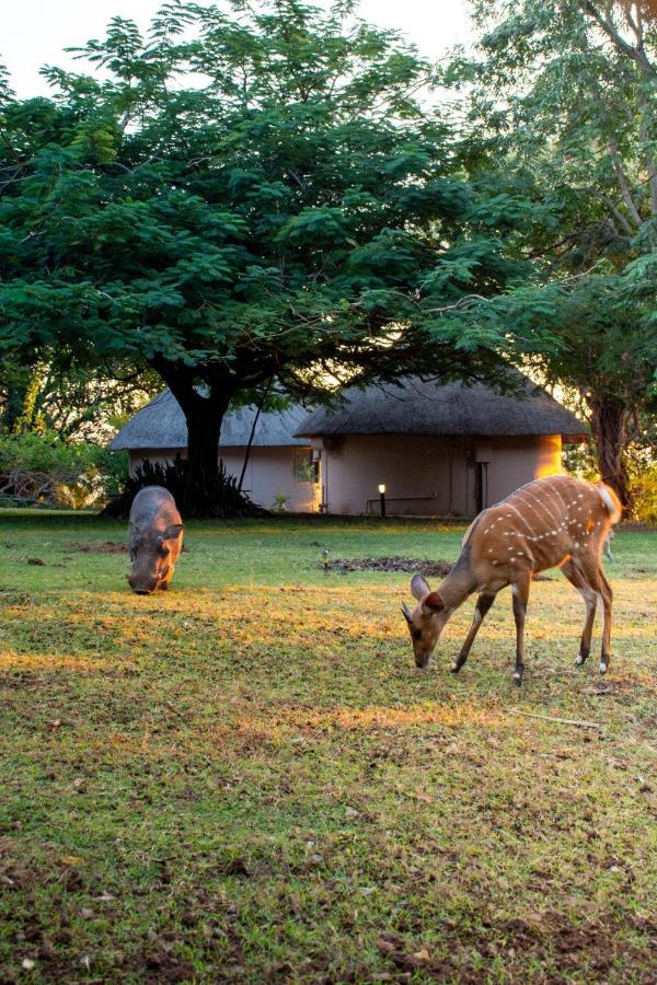 Chobe Safari Lodges Kasane Zewnętrze zdjęcie