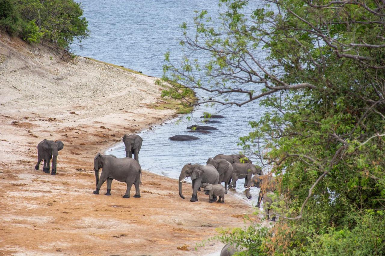 Chobe Safari Lodges Kasane Zewnętrze zdjęcie