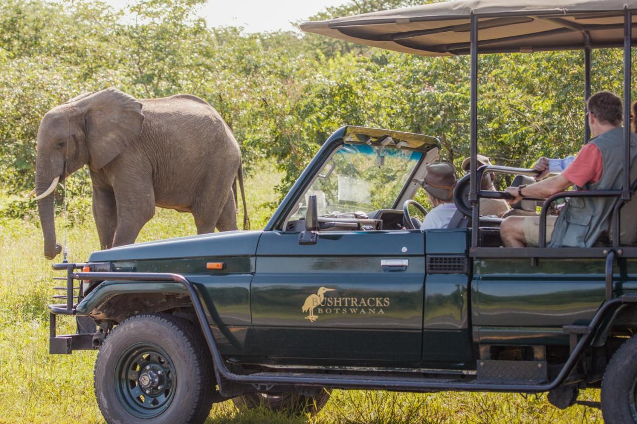 Chobe Safari Lodges Kasane Zewnętrze zdjęcie