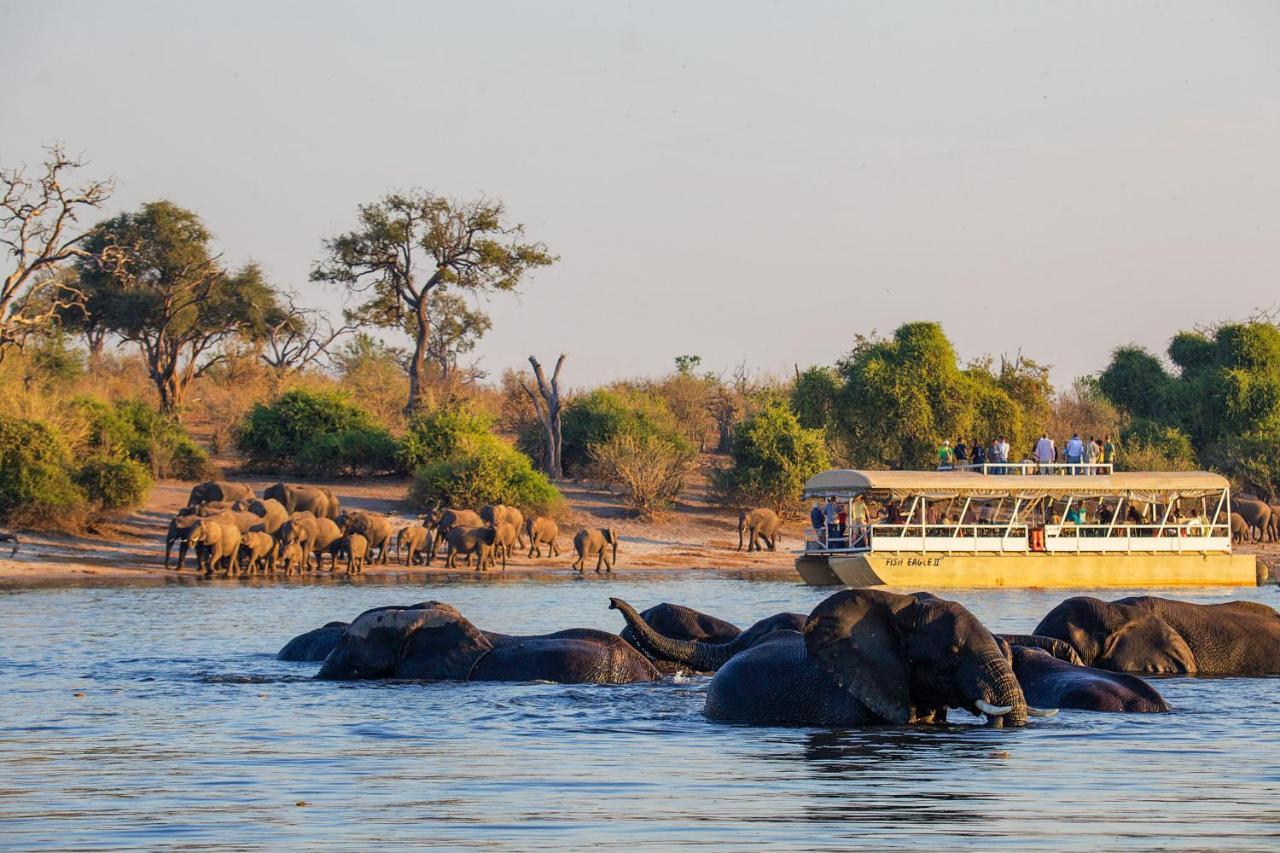 Chobe Safari Lodges Kasane Zewnętrze zdjęcie